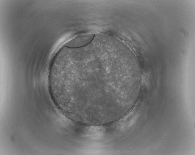 X0000115280101200911272015