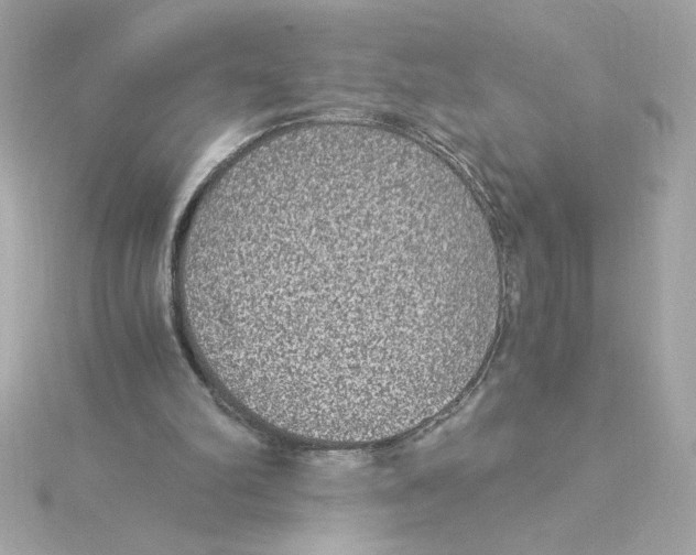 X0000115280102200911272015