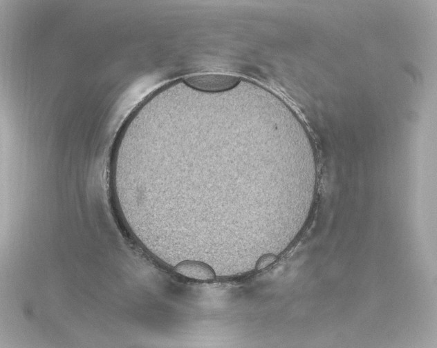 X0000115280103200911272015