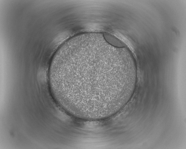 X0000115280105200911272015