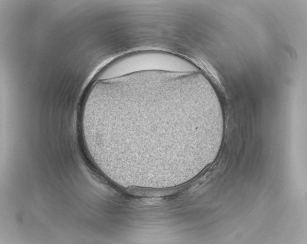 X0000115280108200911272015