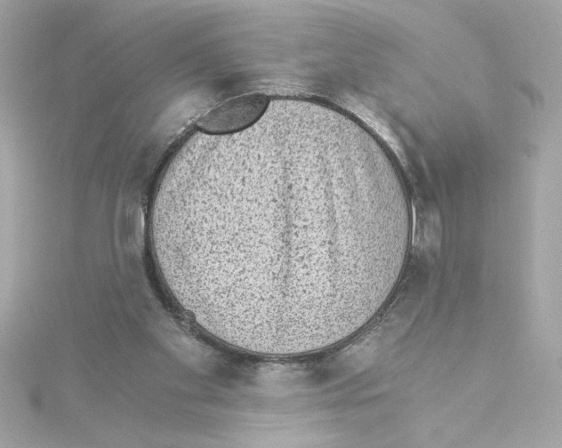 X0000115280109200911272015