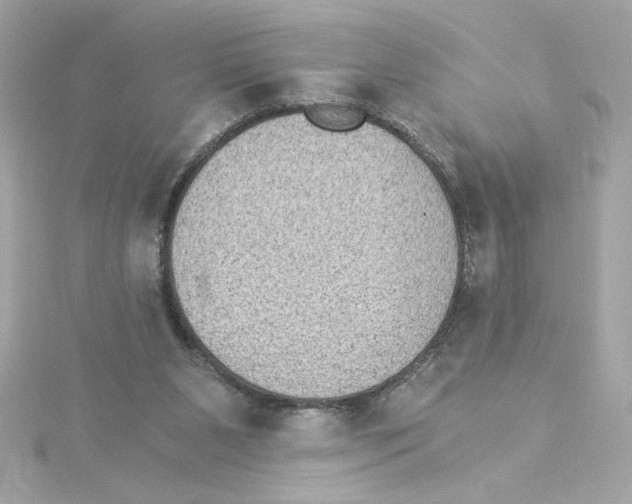 X0000115280111200911272015