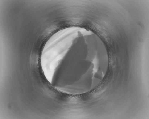 X0000115280115200911272015