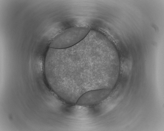 X0000115280117200911272015