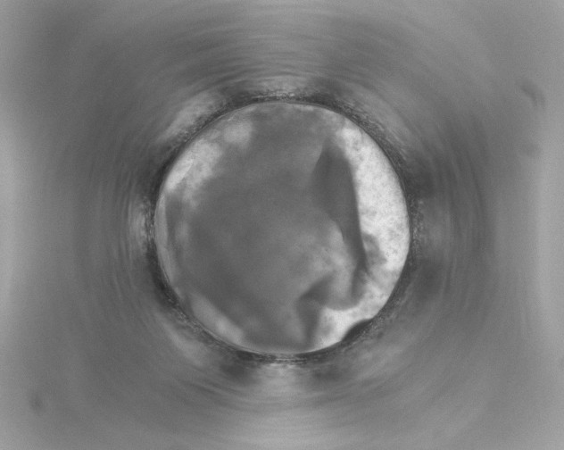 X0000115280119200911272015