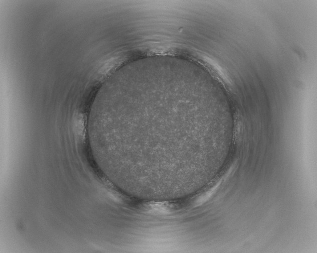 X0000115280121200911272015