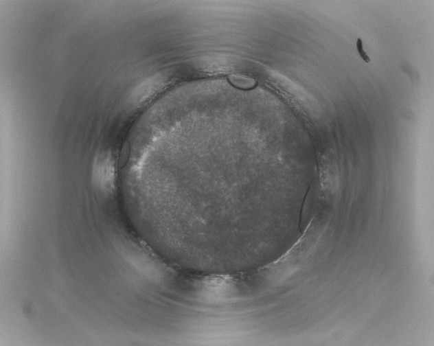 X0000115280124200911272015