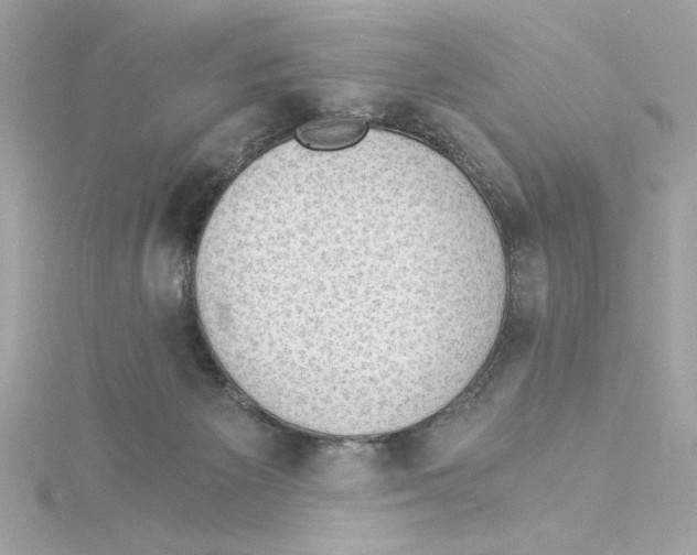 X0000115280125200911272015