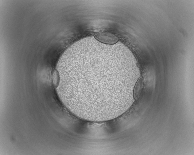 X0000115280129200911272015