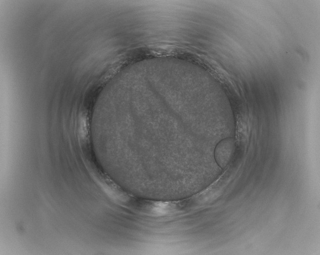 X0000115280130200911272015