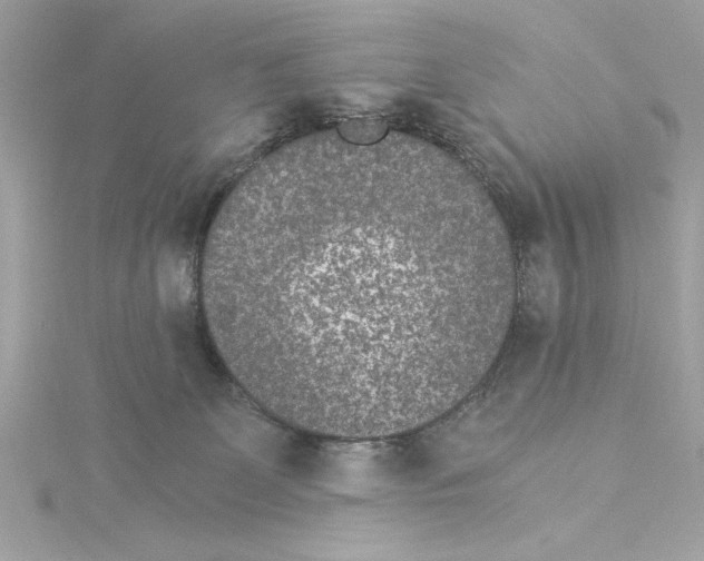 X0000115280131200911272015