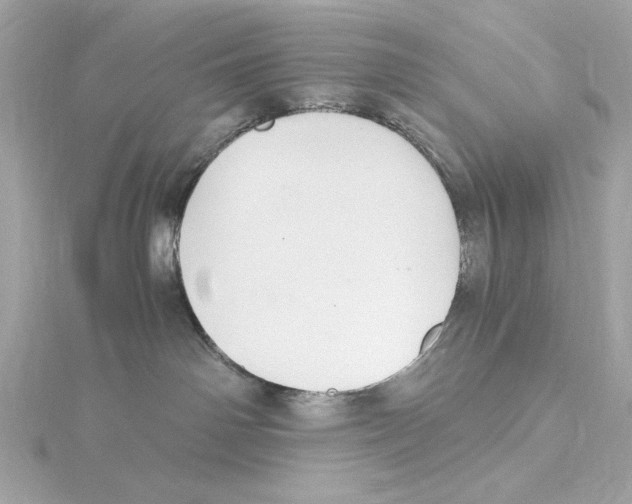 X0000115280142200911272014