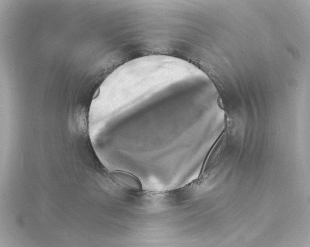 X0000115280143200911272014