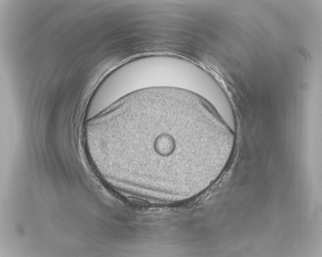 X0000115280145200911272014