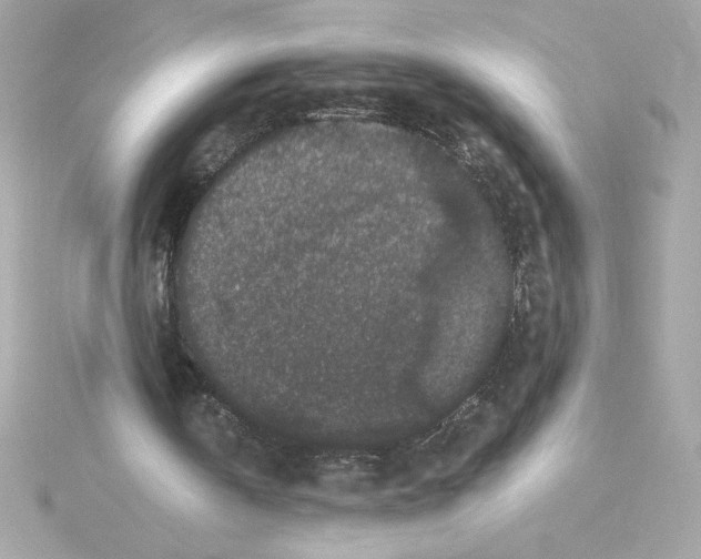 X0000115280146200911272014