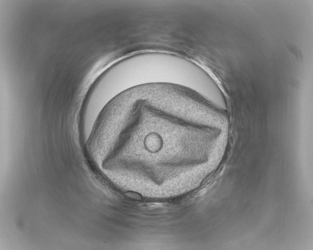 X0000115280151200911272014