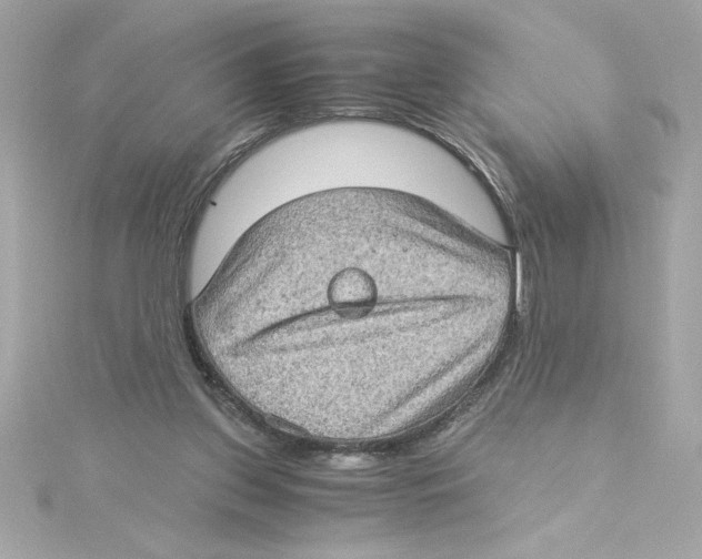 X0000115280157200911272014