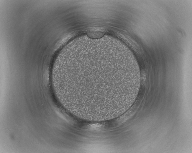 X0000115280158200911272014