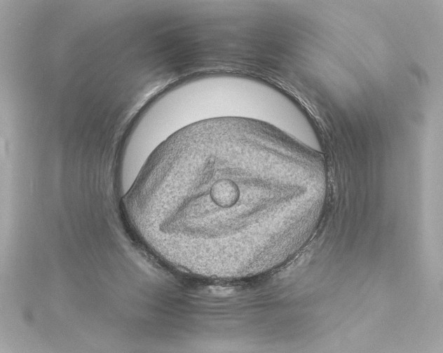 X0000115280159200911272014