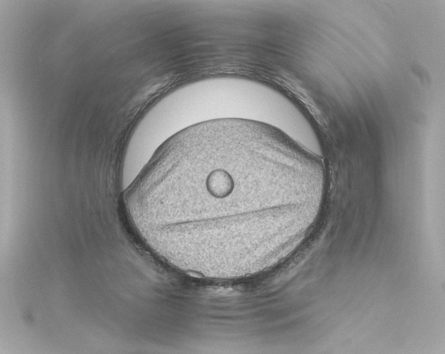 X0000115280161200911272014