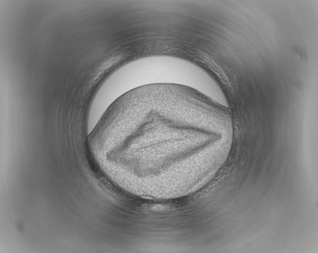 X0000115280163200911272014