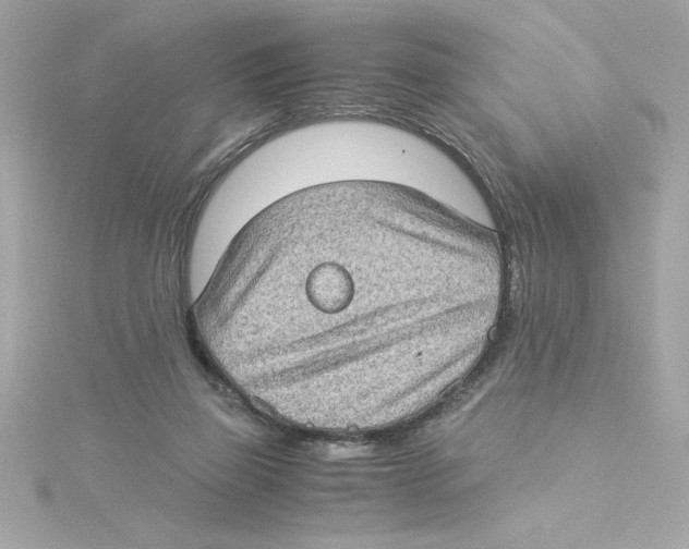 X0000115280165200911272014