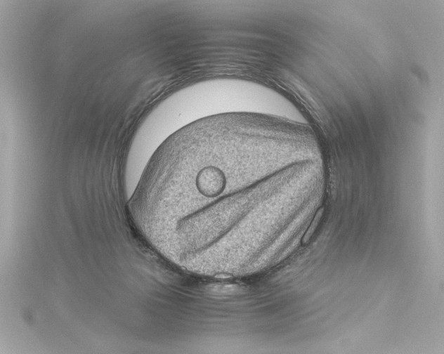 X0000115280169200911272014