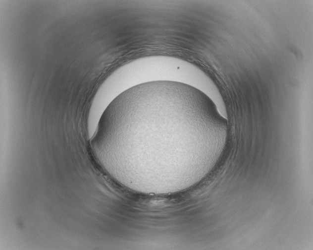 X0000115280173200911272014