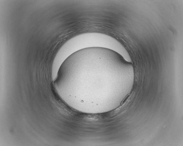 X0000115280175200911272014