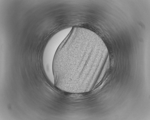 X0000115280179200911272014