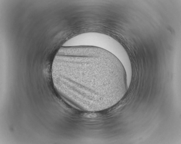 X0000115280181200911272014