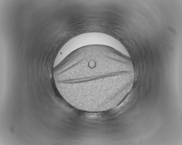 X0000115280187200911272014