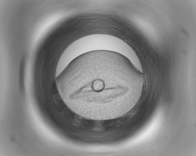 X0000115280191200911272014