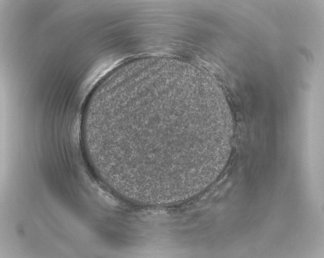 X0000115280194200911272014