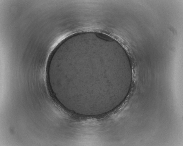 X0000115280196200911272014