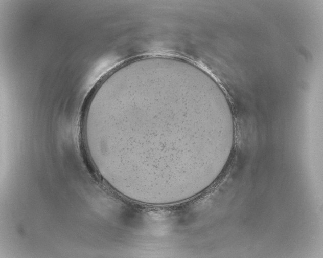 X0000115280199200911272014