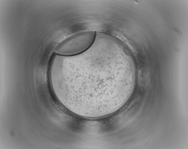 X0000115280203200911272014