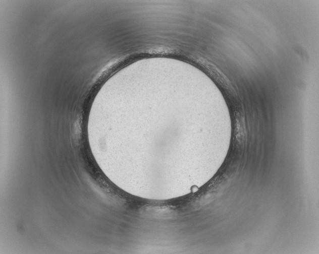 X0000115280208200911272014