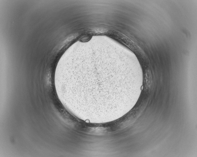 X0000115280212200911272014