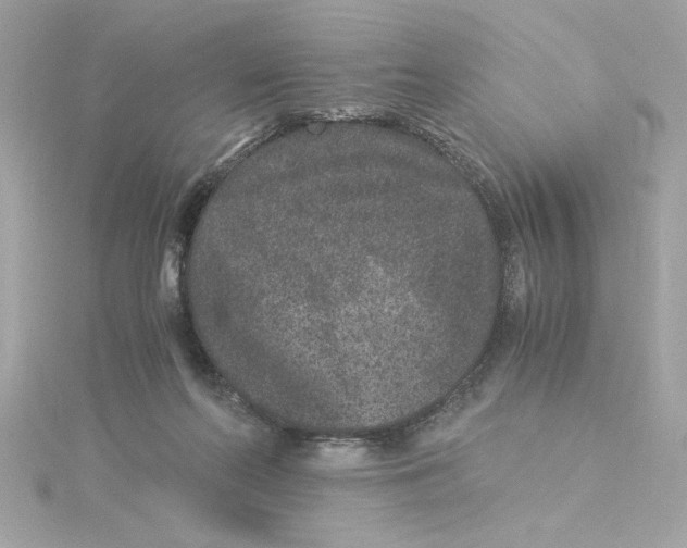 X0000115280214200911272013