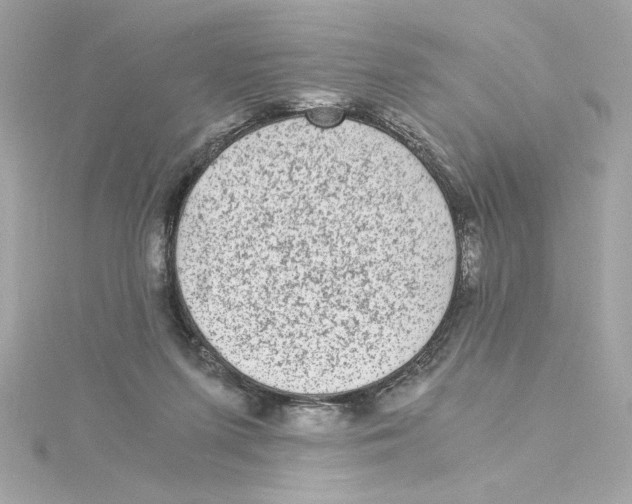 X0000115280215200911272013