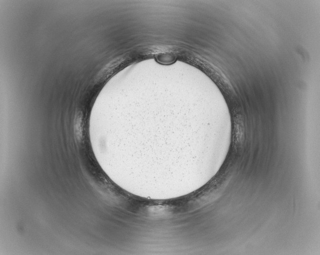 X0000115280216200911272013