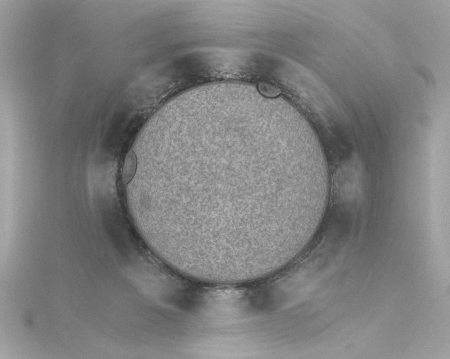 X0000115280217200911272013