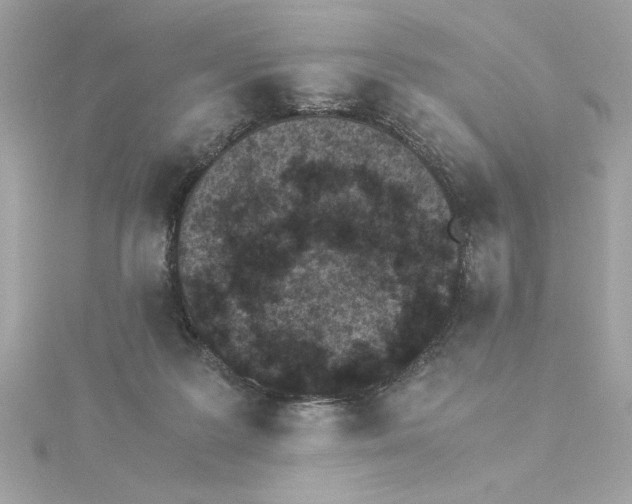 X0000115280219200911272013