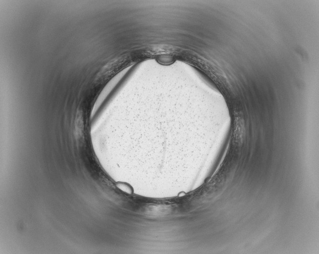 X0000115280220200911272013