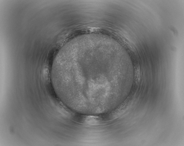 X0000115280222200911272013