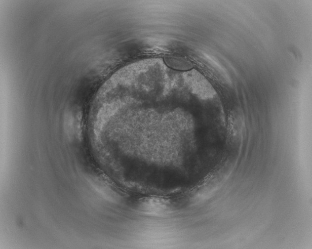 X0000115280223200911272013