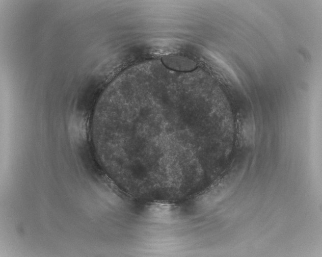 X0000115280227200911272013