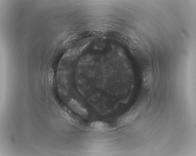 X0000115280231200911272013